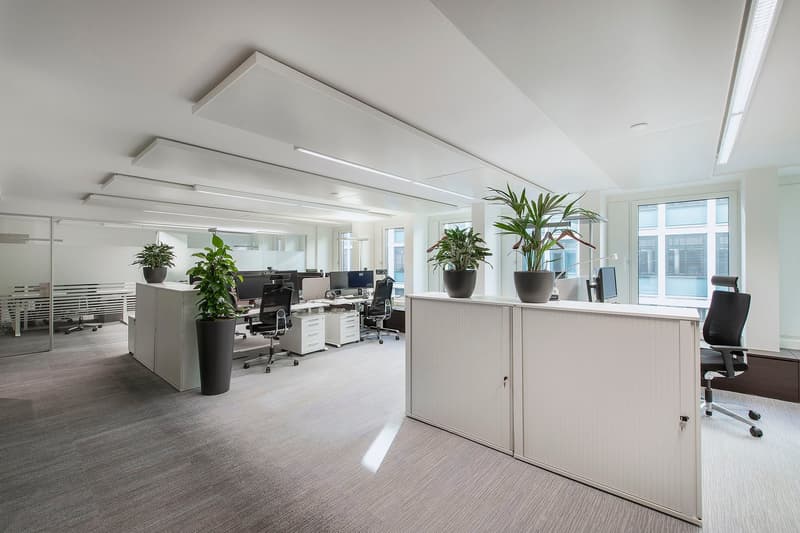 modern office with white walls and ceilings, desks, chairs, plants, office equipment, carpet floor