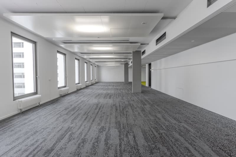 wide hallway, white walls, large windows, gray carpet