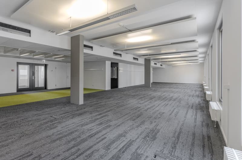 Empty room, white walls, gray carpet, windows, doors, ceiling lights