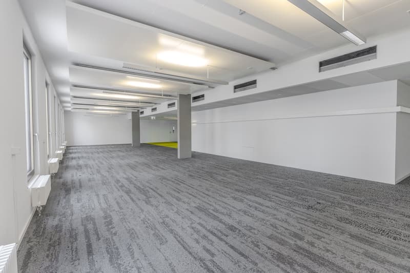 modern, empty, clean, concrete floors, white walls, high ceiling, fluorescent lighting, windows, yellow door