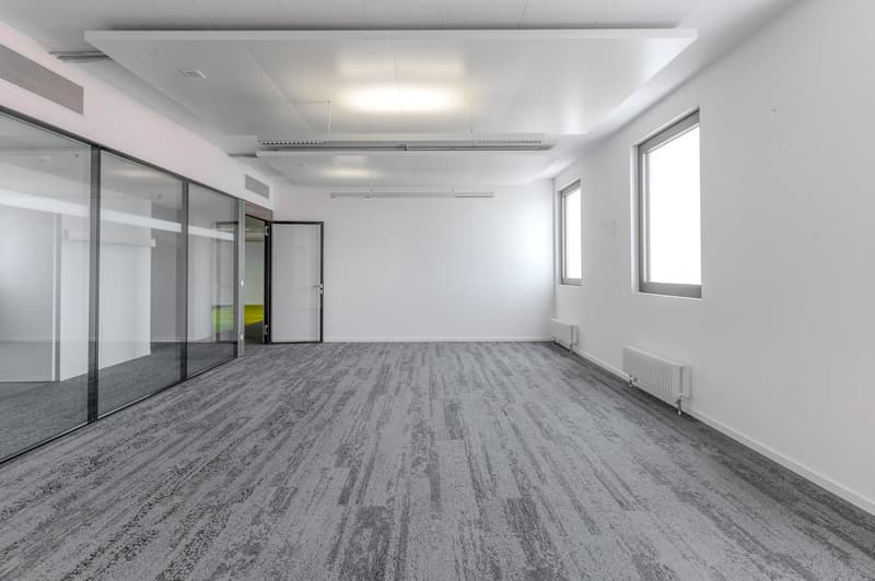 empty room, glass walls, open door, ceiling lights, radiators, gray carpet