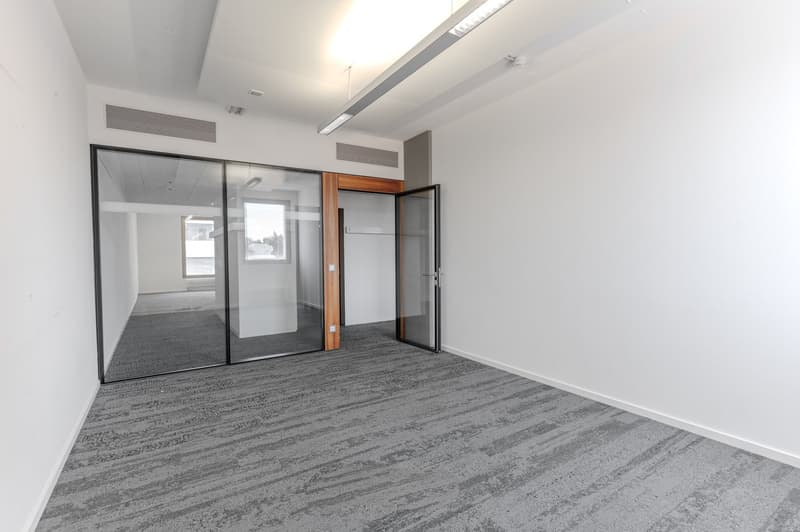 modern office space, sliding glass doors, wooden door, gray flooring, white walls, central lighting
