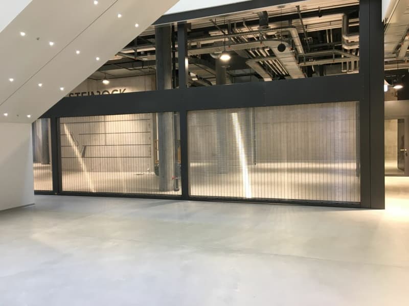 Spazio di locazione ideale nel centro commerciale Steinbock Chur (4)