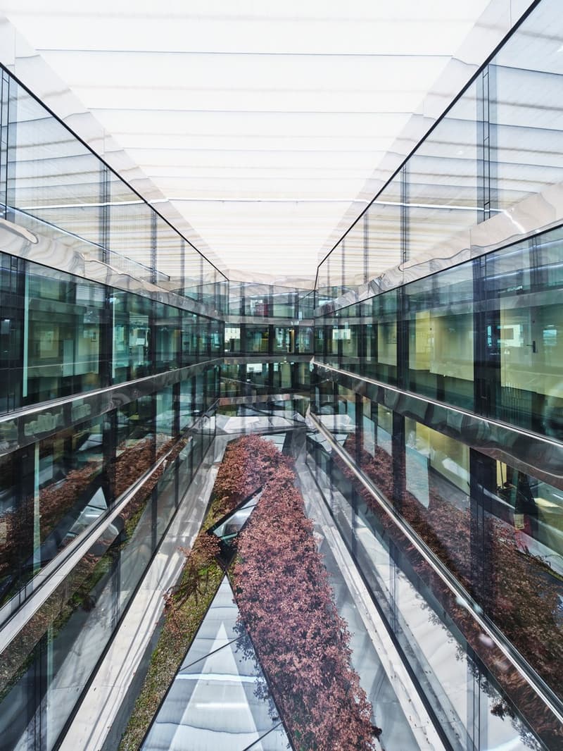modern building with glass walls, central walkway, plants, reflections