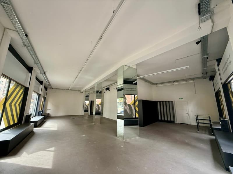 Ihre neue Geschäftsfläche in Zürich - Enge (4)