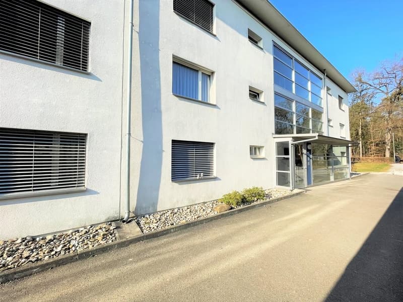 Siedlungsstrasse_16A.JPEG