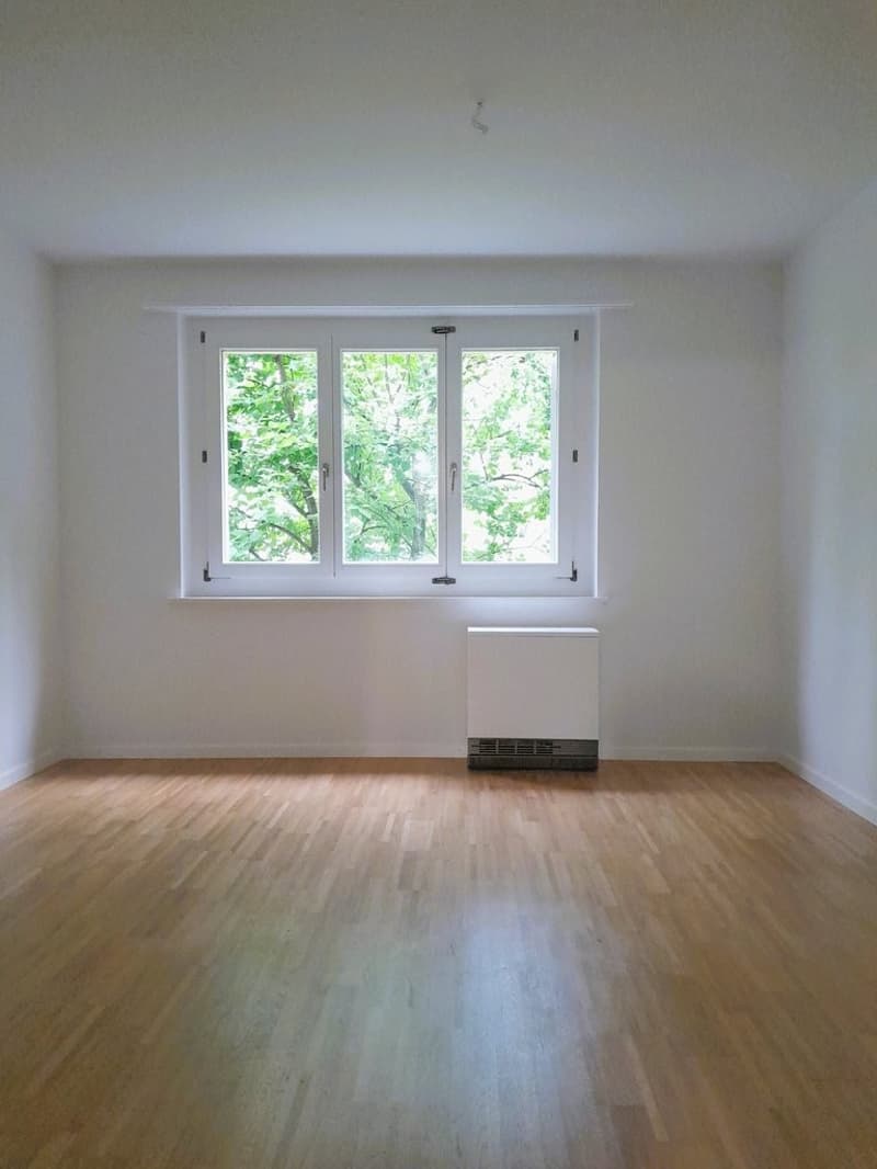 Zimmer_3.JPG
