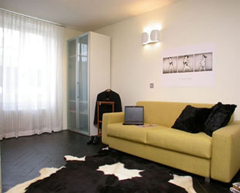 living room with yellow couch, black-and-white rug, laptop on couch, full-length mirror, windows with curtains, and closet
