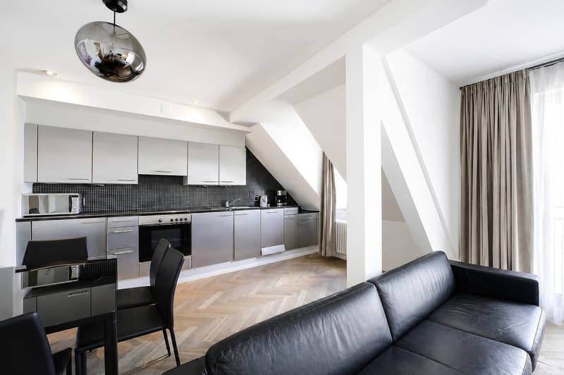 Grosszügige möblierte 3.5-Zimmer-Wohnung mit Balkon in Zürich-West (3)