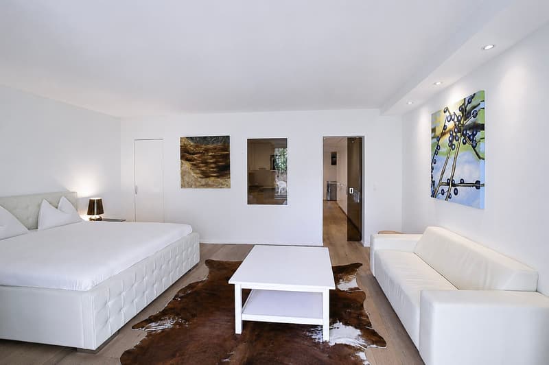 Urban, pensato, stiloso – vivere in Bellariastrasse 36, Zurigo (3)