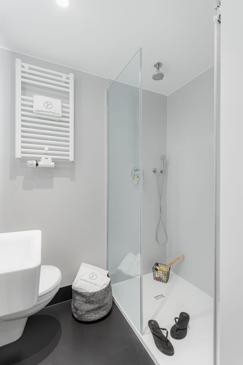Furnished Studio (15 m²) in Central Location in Lucerne – from 3 Months (4)