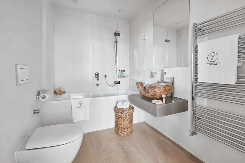 Spacious 4-Room Apartment (3 Bedroom) in Central Geneva (4)