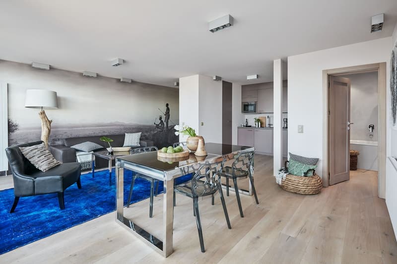 Spacious 4-Room Apartment (3 Bedroom) in Central Geneva (3)