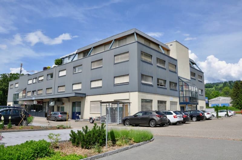 attraktive Gewerbefläche (1)