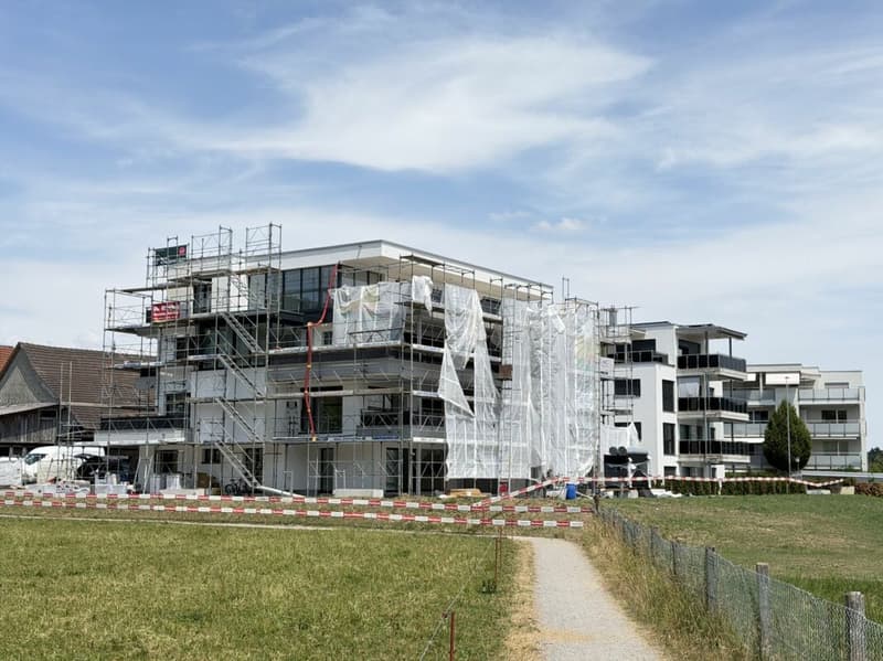 Last available new building apartment (1)