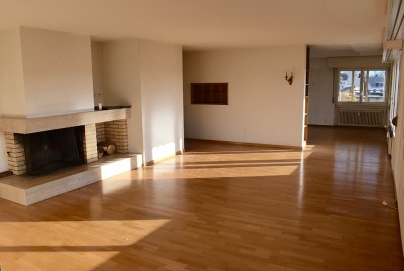 Large apartment near the train station (2)