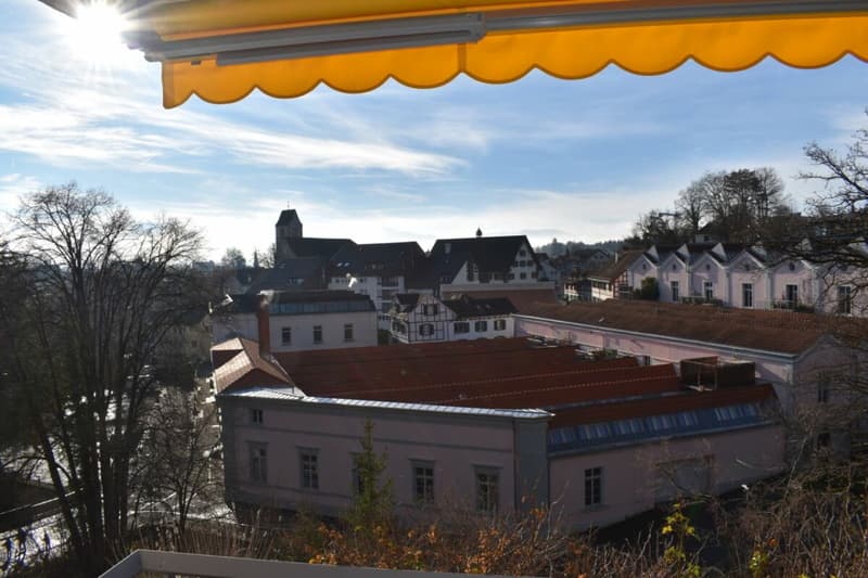 Large apartment near the train station (7)