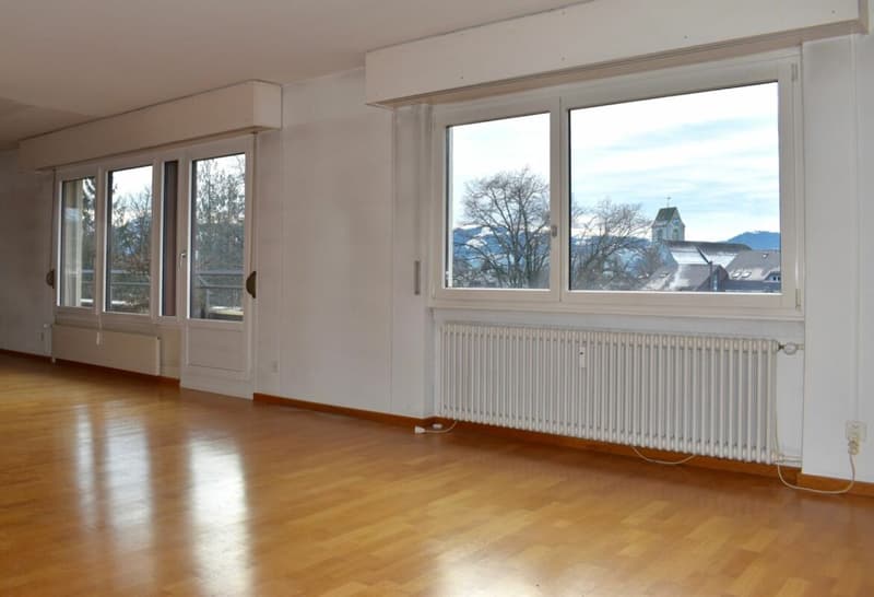 Large apartment near the train station (11)
