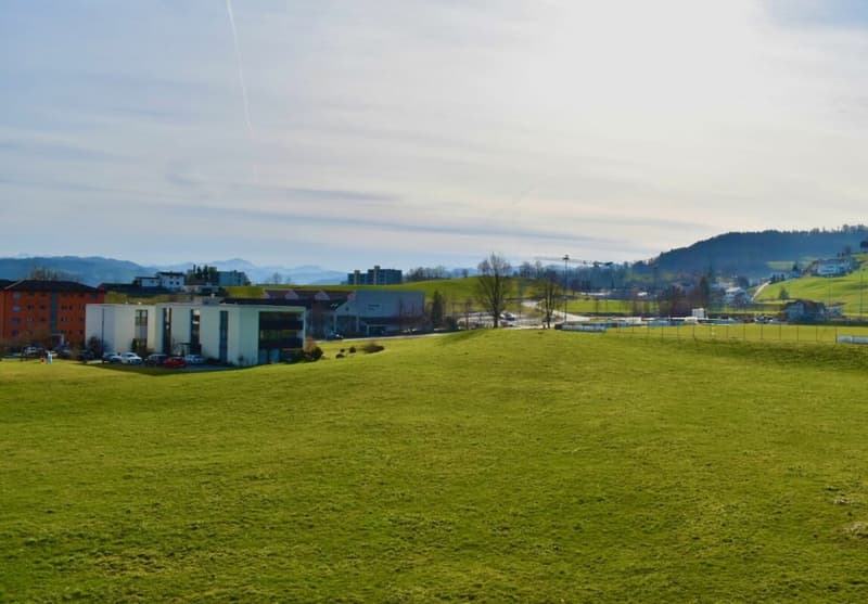 letzte verfügbare Neubauwohnung (9)