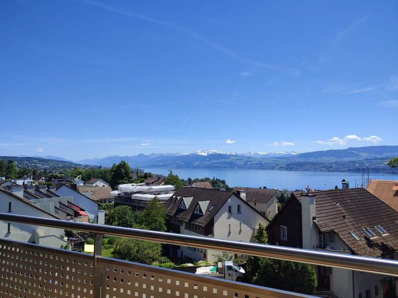 Vue phénoménale (1)