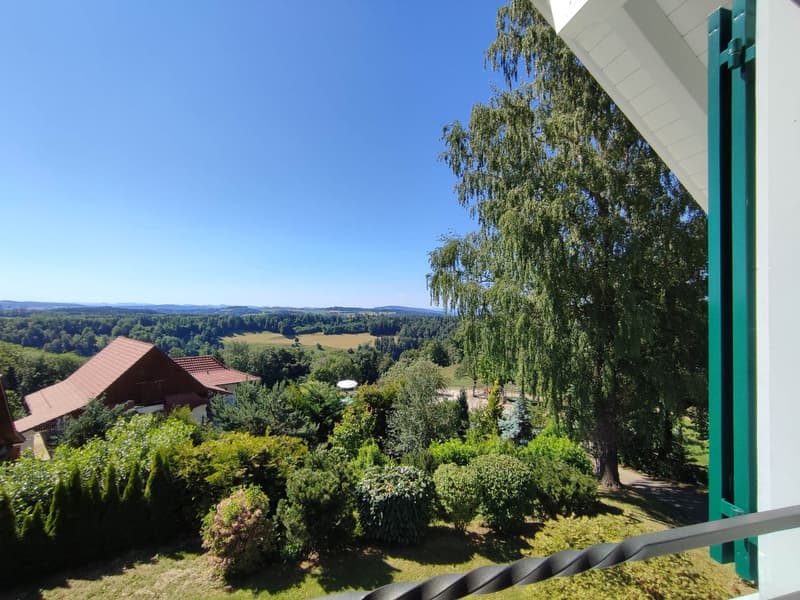 Idyllischer Landsitz mit viel Umschwung in Stadtnähe (8)