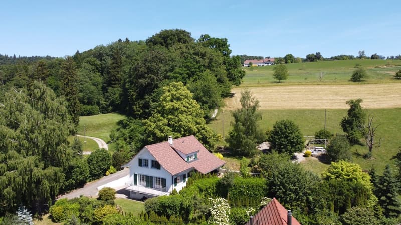 Idyllischer Landsitz mit viel Umschwung in Stadtnähe (2)