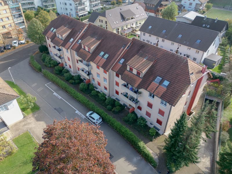 3.5-Room Apartment in Möhlin (1)