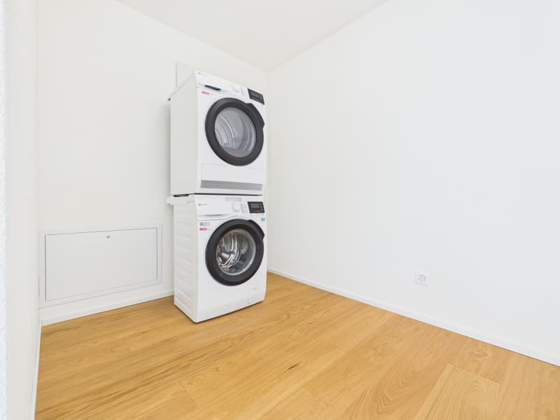 1-Zimmer-Wohnung mit grossem Reduit und Wäscheturm (11)