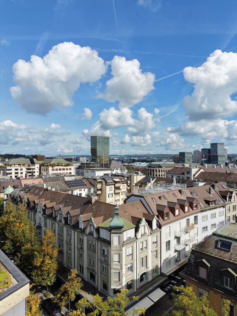 1-Zimmer-Wohnung mit grossem Reduit und Wäscheturm (13)