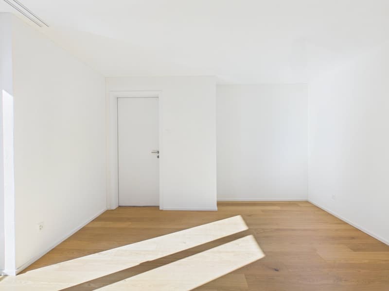 1-Zimmer-Wohnung mit grossem Reduit und Wäscheturm (3)