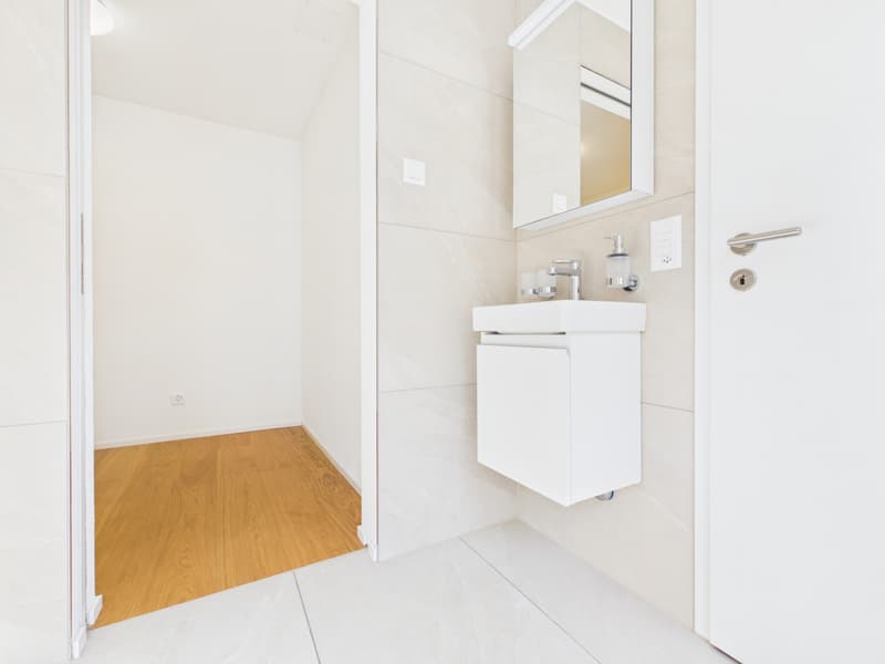 1-Zimmer-Wohnung mit grossem Reduit und Wäscheturm (10)
