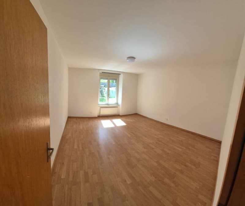 Beautiful 3.5-room apartment with a magnificent view (7)