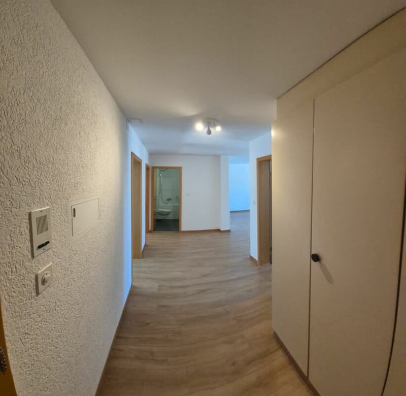 Beautiful 3.5-room apartment with a magnificent view (2)