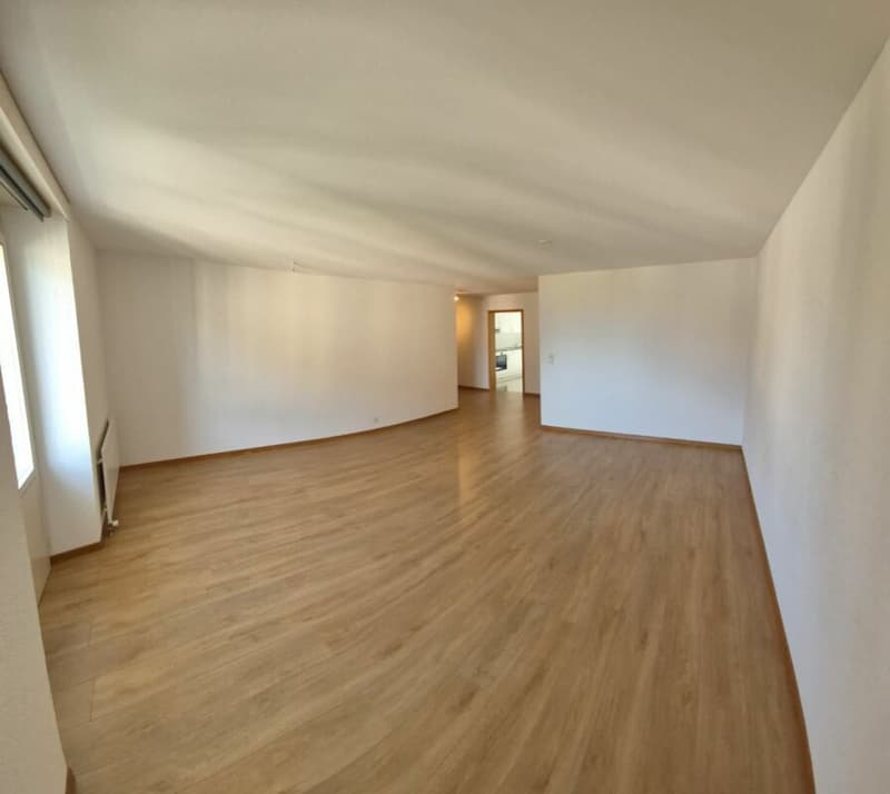 Beautiful 3.5-room apartment with a magnificent view (5)