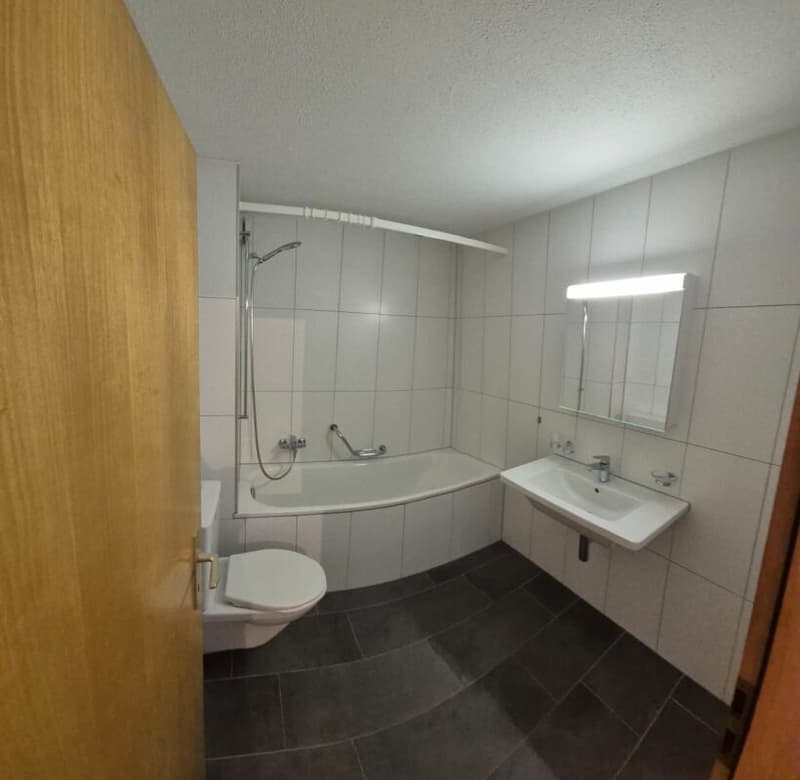 Beautiful 3.5-room apartment with a magnificent view (8)