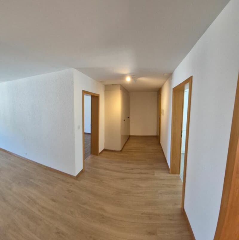 Beautiful 3.5-room apartment with a magnificent view (6)