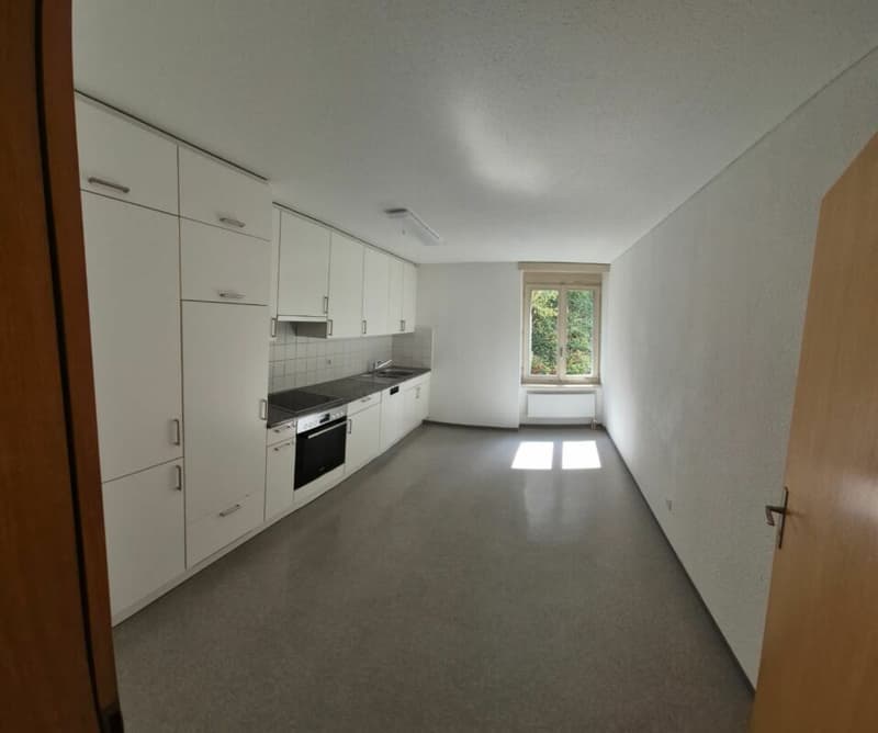 Beautiful 3.5-room apartment with a magnificent view (3)
