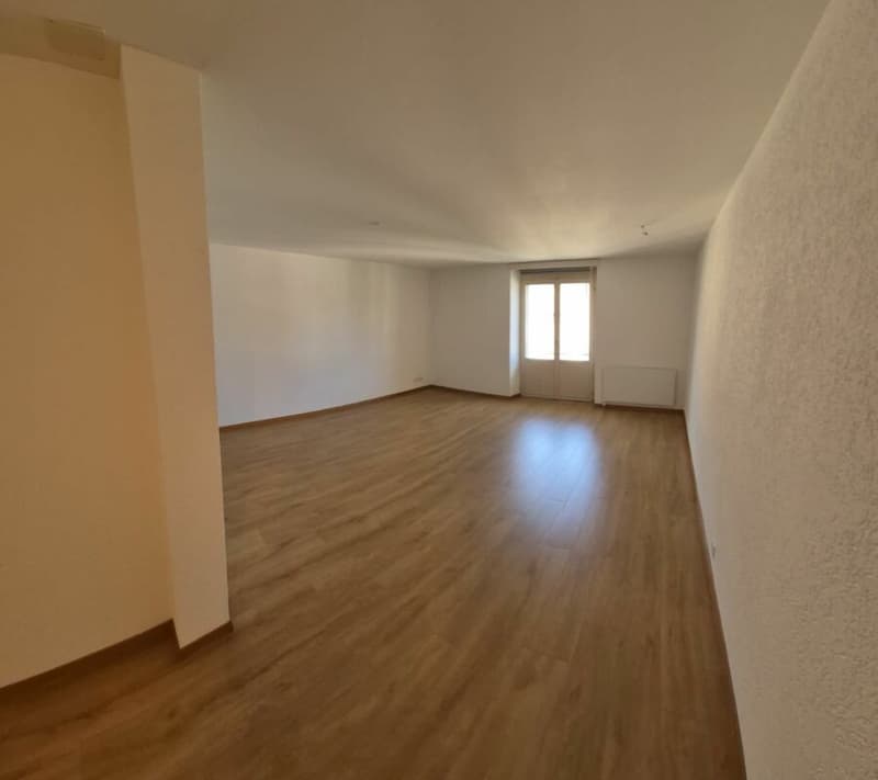 Beautiful 3.5-room apartment with a magnificent view (4)