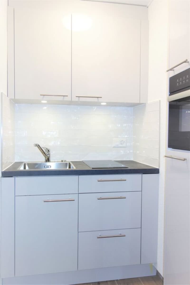 Bright, modern 1-bedroom apartment - newly renovated! (2)
