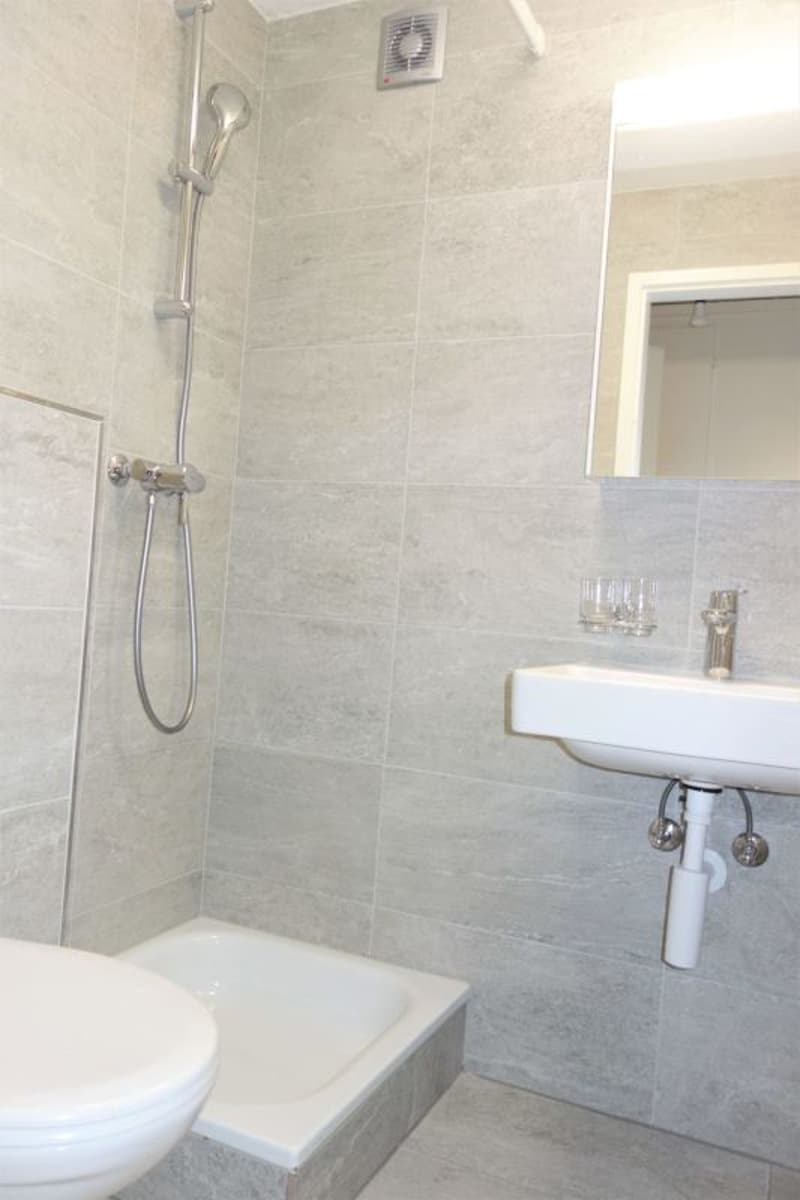 Bright, modern 1-bedroom apartment - newly renovated! (5)