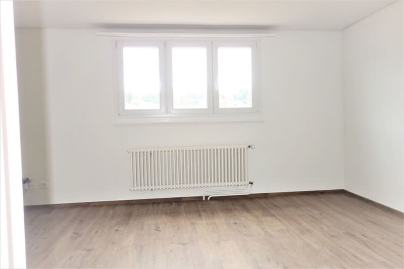 Bright, modern 1-bedroom apartment - newly renovated! (4)