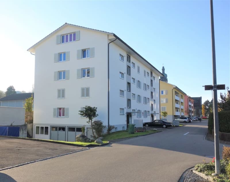 Bright, modern 1-bedroom apartment - newly renovated! (7)
