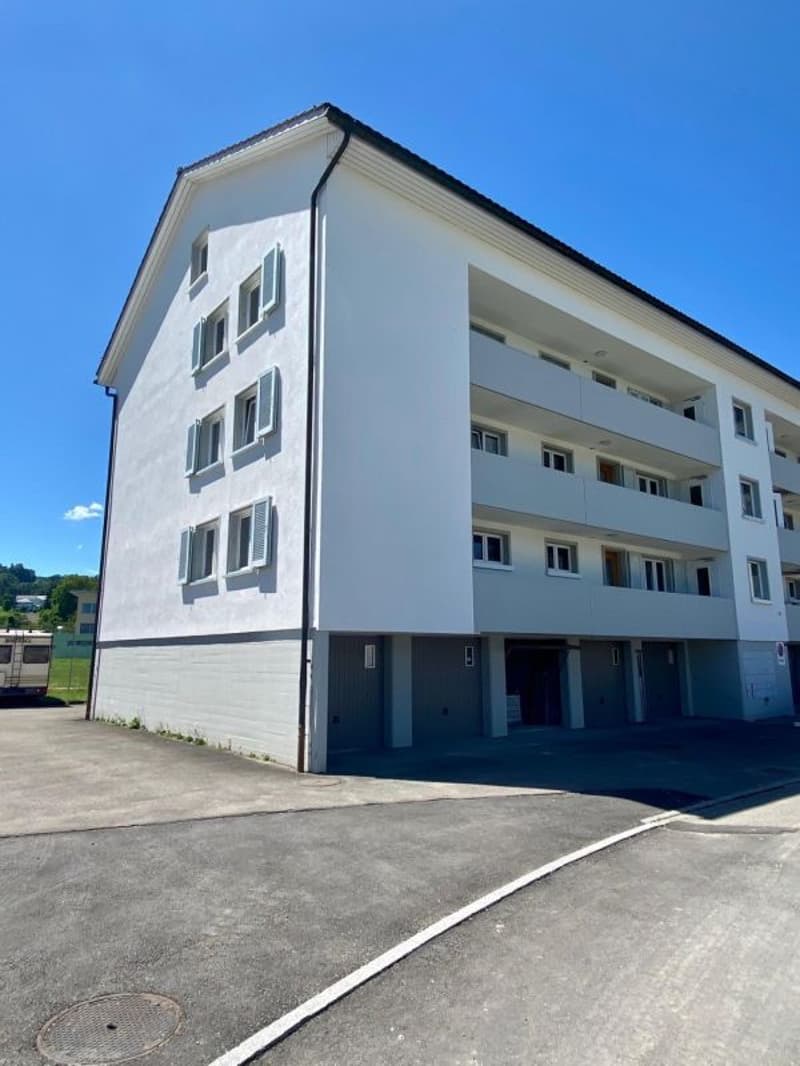 Bright, modern 1-bedroom apartment - newly renovated! (6)