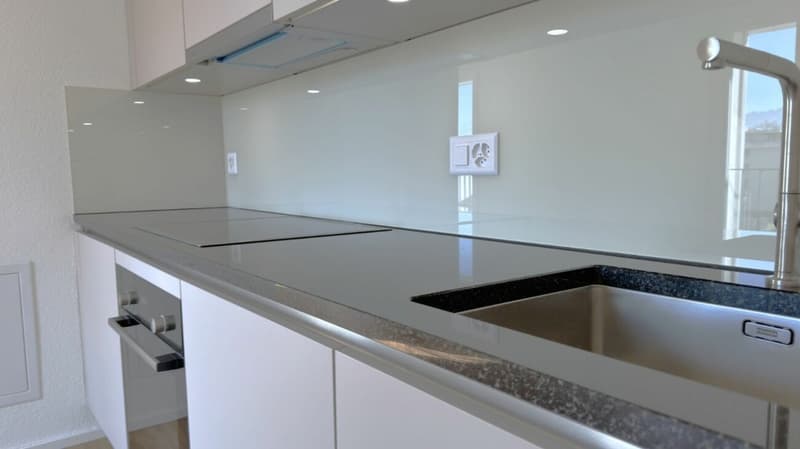 Appartamento duplex moderno piccolo con una vista meravigliosa a Rapperswil in affitto (6)