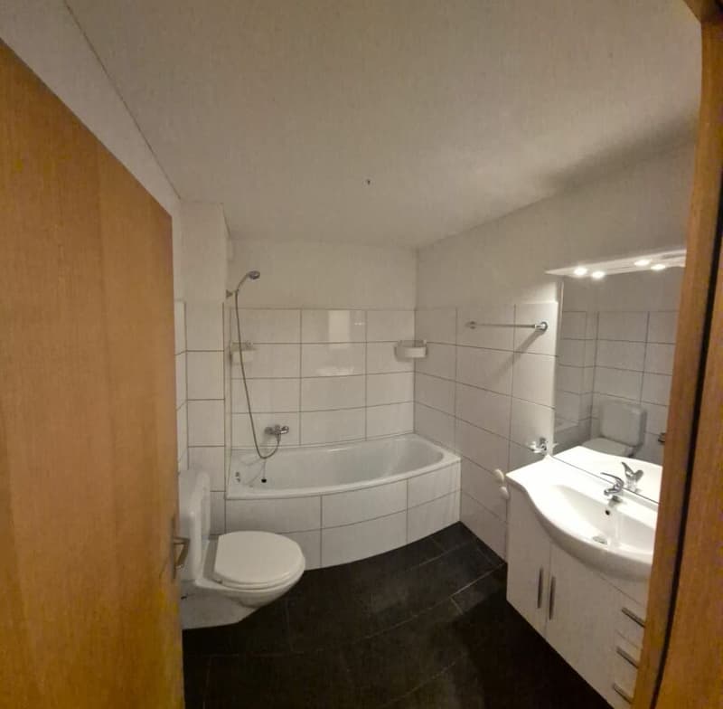 Large 3.5-room apartment with a wonderful view (9)