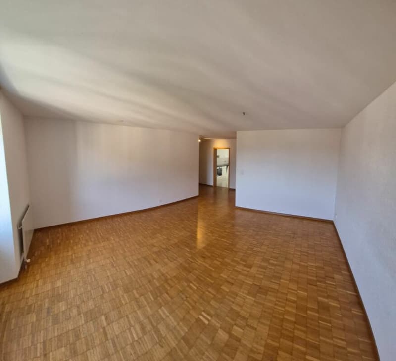 Large 3.5-room apartment with a wonderful view (7)