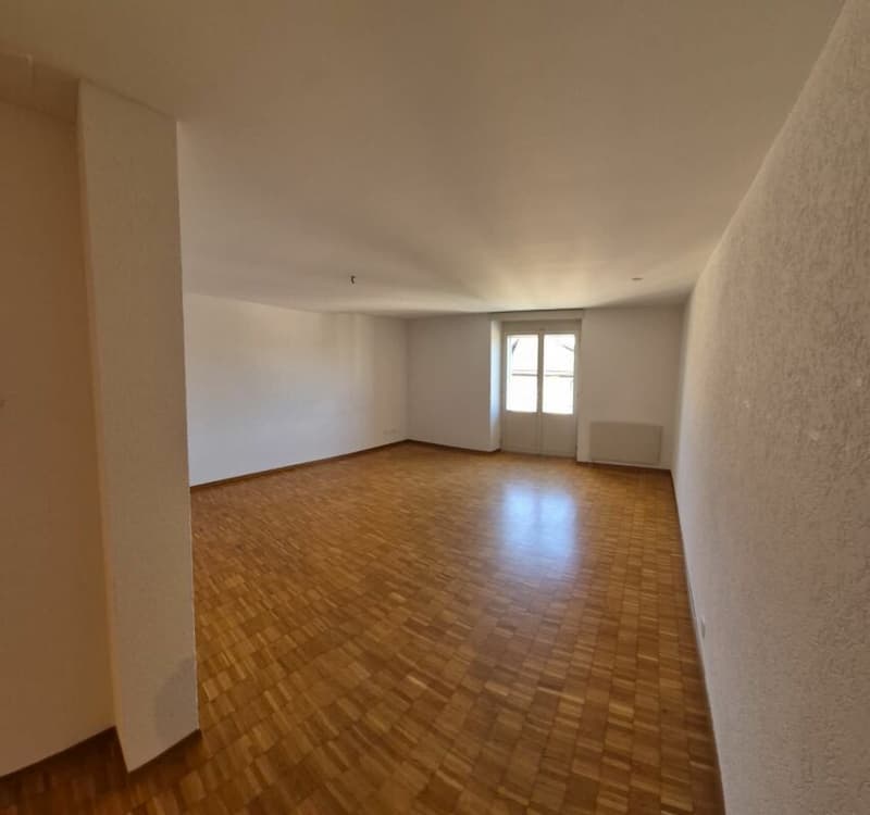 Large 3.5-room apartment with a wonderful view (6)