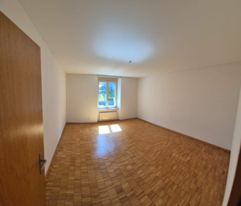Large 3.5-room apartment with a wonderful view (4)