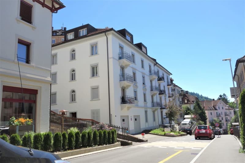 Large 3.5-room apartment with a wonderful view (2)