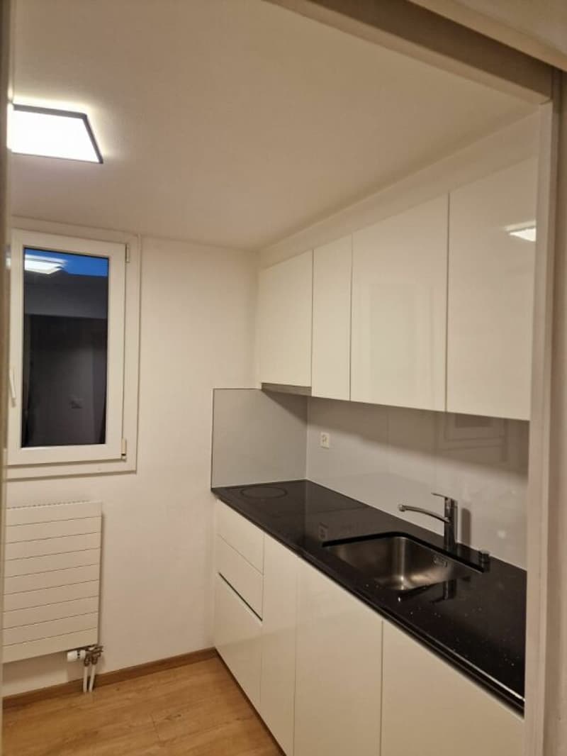 Appartamento di 3 locali ristrutturato a Kreuzlingen (5)